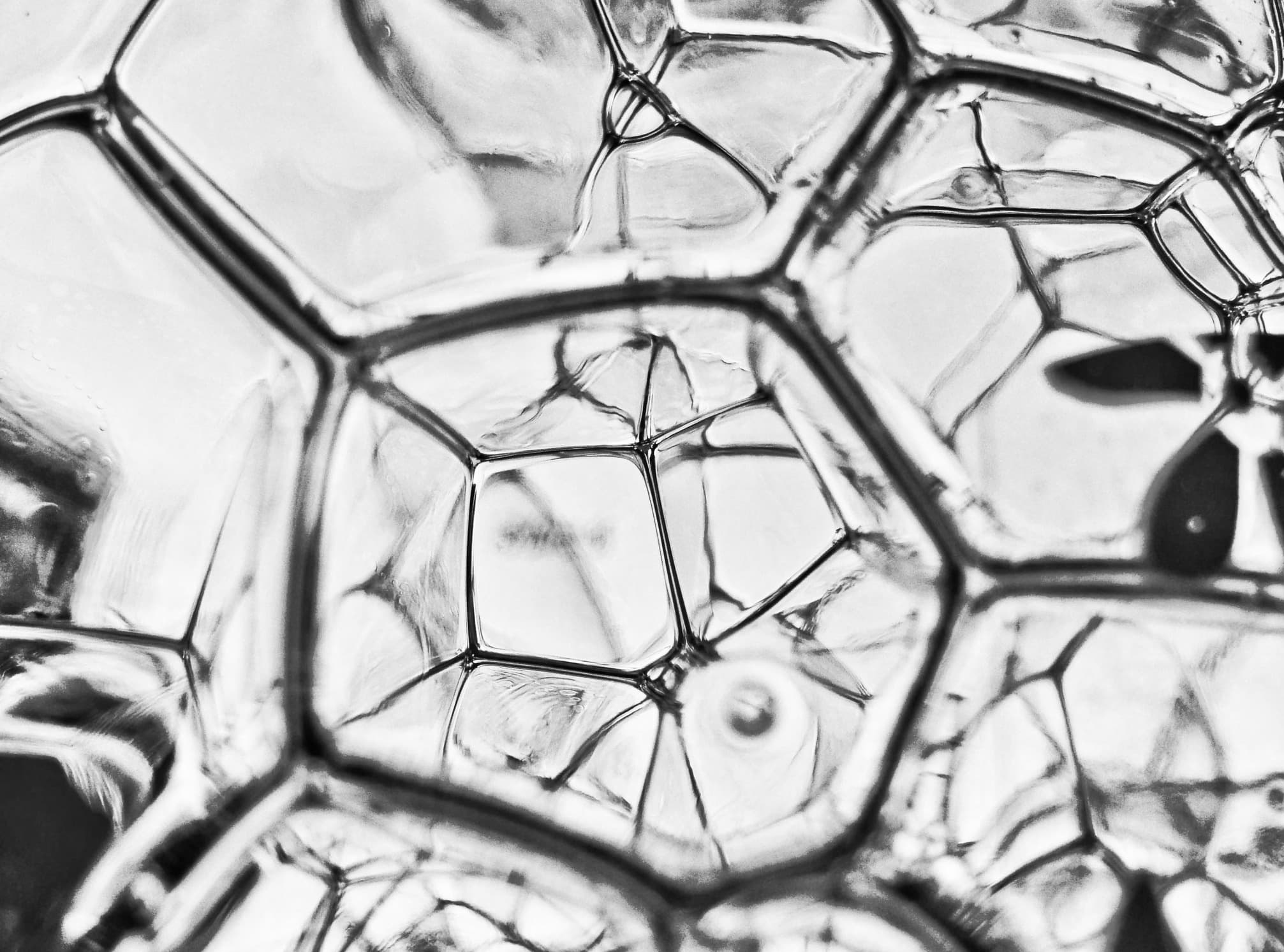 Monochrome cell imagery